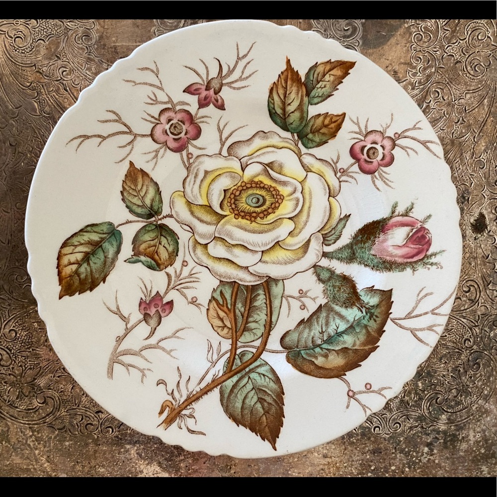 JOHN MADDOCK & SONS OLD ROSE BREAD & BUTTER PLATE